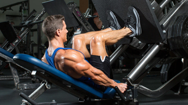 Leg Press
